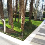 pavimentazione-esterno-porfido-fiammato-grigio-verde-6