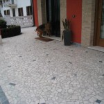 sasso del piave botticino  e verde alpi 006